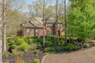 11451 Andrews Park Cove, Olive Branch, MS 38654