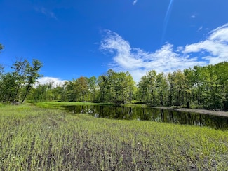 XXX Woods Rd, Isle, MN 56342