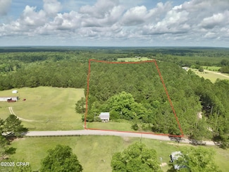 1580 Malcolm Taylor Rd, Bonifay, FL 32425