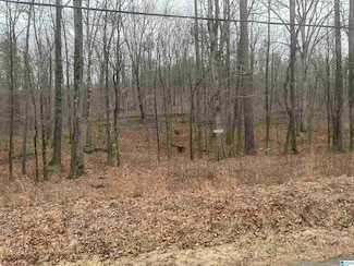 4507 Shady Grove Rd, Gardendale, AL 35071