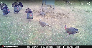 0 County Road 154, Breckenridge, TX 76424