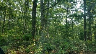 Lot 367 Ashumet Rd, Falmouth, MA 02536