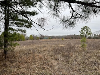 9803 S Cold Springs Rd, Atoka, OK 74525