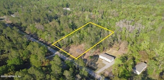 10710 Weatherby Ave, Hastings, FL 32145