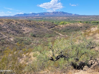 TBD 011 N Jacobs Rd Unit 12009011, Saint David, AZ 85630