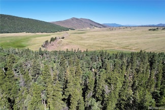 2452 Petito Dr, Fort Garland, CO 81133