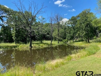 610 Old Tyler Hwy, Athens, TX 75751