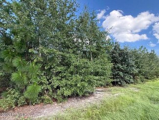 Tbd Johns Rd, Laurinburg, NC 28352