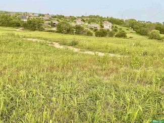 12317 S 226th St, Melia-Forest City Precinct, NE 68028