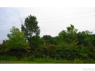 0 Tabors Corners Rd Unit B459091, Springwater, NY 14560