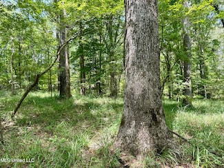 00006 Old Red Star Rd, Wesson, MS 39191