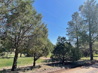 5 Yucca Flats Rd, Tijeras, NM 87059