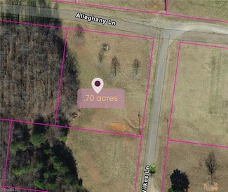 3002 Alleghany Ln, Pilot Mountain, NC 27041