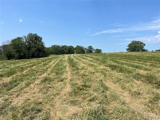 0 Pike 403 Unit MIS24029296, Bowling Green, MO 63334