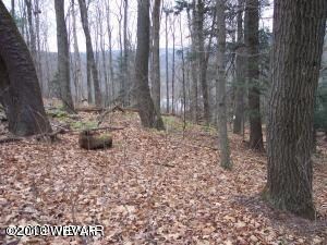 43 Lakeside Dr, Monroe Township, PA 18618