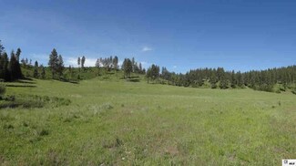 Hatter Creek Rd, Princeton, ID 83857