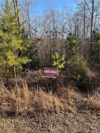 lot 24 Riverbend Rd, Fair Play, SC 29643
