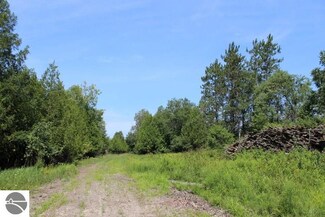 0 Marion Center Road Parcel B Unit 1824012, Ellsworth, MI 49729