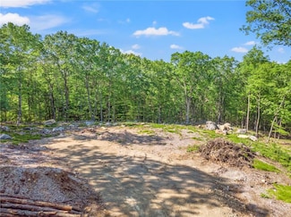 Lot 5 S White Rock Rd, Holmes, NY 12531