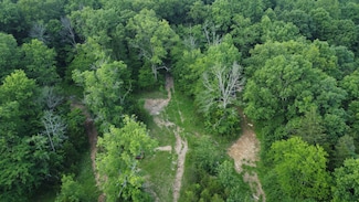 738 Rogues Fork Rd, Bethpage, TN 37022
