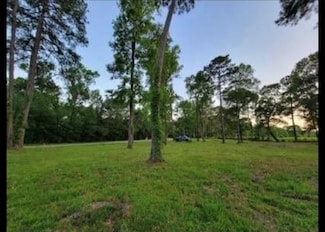 10171 Ehlers Rd, Conroe, TX 77302