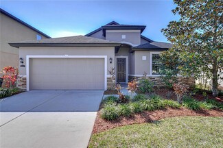 831 Vino Verde Cir, Brandon, FL 33511