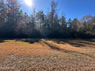 0 Eagle Ridge Rd Unit 4101578, Vancleave, MS 39565