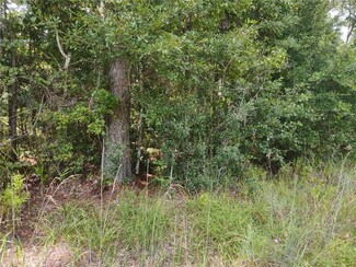 0 Alco Rd Unit V4926399, Astor, FL 32102