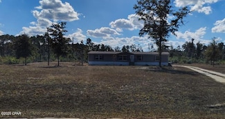 22884 NW Lake McKinzie Blvd, Altha, FL 32421