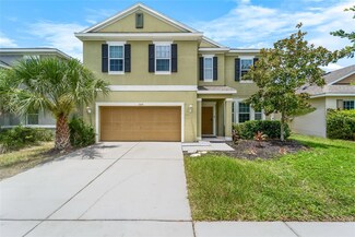 11539 Tangle Branch Ln, Gibsonton, FL 33534