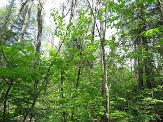 x7 Caps Trail, Lutsen, MN 55612