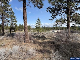 L 5 Copperfield Dr, Chiloquin, OR 97624