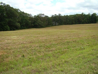 0000 Gray Rd, Roopville, GA 30170