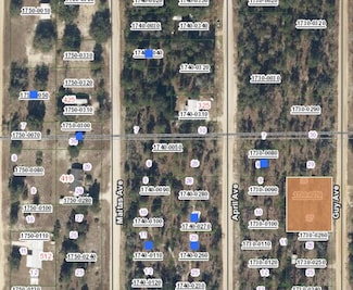 00 Guy Ave, Interlachen, FL 32148