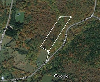 0 Lily Pond Rd Unit ONEH6285147, Liberty Town, NY 12768