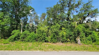 7491 Shasta St, Webster, FL 33597