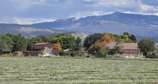 66626 Rose Rd, Montrose, CO 81403