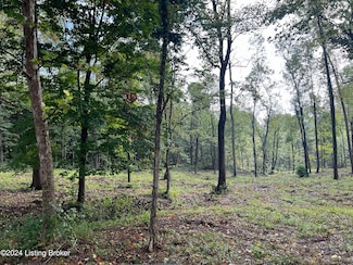 Lot 23 Dogwood Estates, Bedford, KY 40006