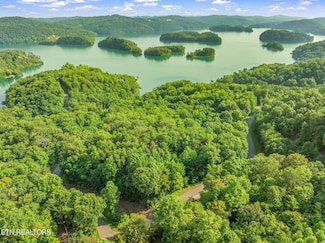 146147 Lakeview Dr, Sharps Chapel, TN 37866