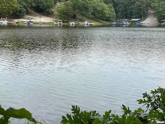 0 Parrish Ridge Ln Unit RMAQC4266863, Goreville, IL 62939