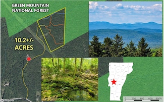 925 Hathaway Rd, Goshen, VT 05733