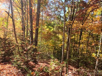 00 Angel of the Lake Unit 17, Lake Lure, NC 28746