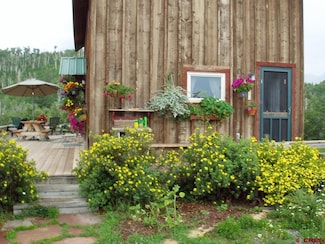 1100 Aspen Dr, Ridgway, CO 81432