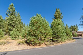 11264 Wolverine Cir, Truckee, CA 96161