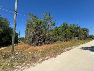 0 NE 131st Ln, Fort Mc Coy, FL 32134
