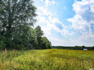 199 Hanging Rock Rd, Harter Township, IL 62839