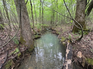 Tract 7 Nwf 517, Other Ar, AR 71935