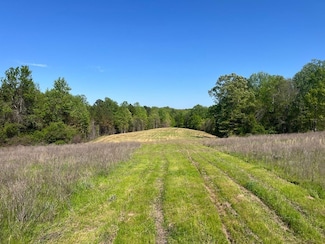 0 Alabama 13, Bankston, AL 35542