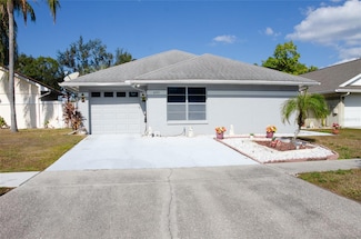 6021 Lemon Tree Ct, Tampa, FL 33625