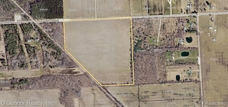 VL Imlay City Rd, Kenockee Township, MI 48006